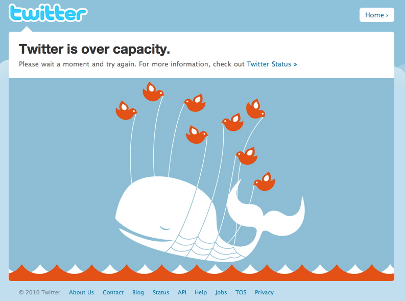 Twitter whale