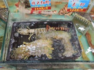 DSCN0012 DSCN0012