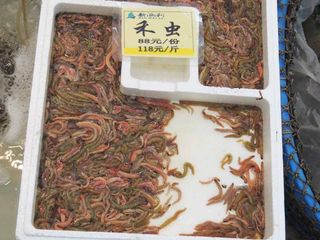 DSCN0014 DSCN0014